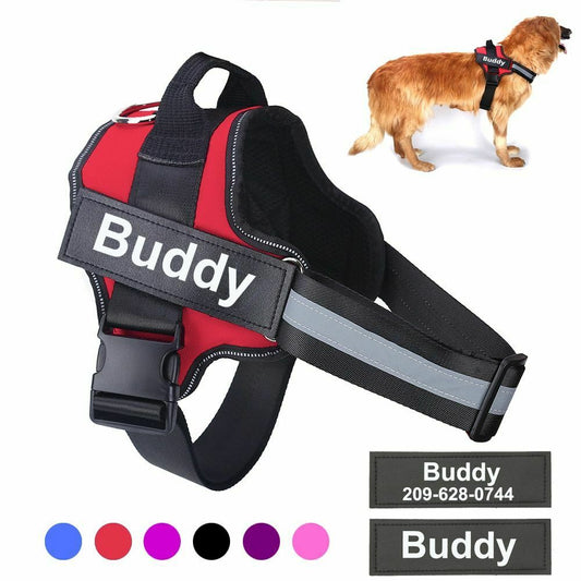 Custom Dog Harness - Personalize Your Pet's Style 2