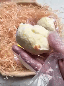 Realistic Plush Little Chick - Adorable Easter Gift 1