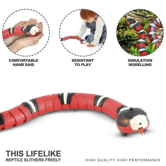 Interactive Snake Toy - Fun for Your Pets 2