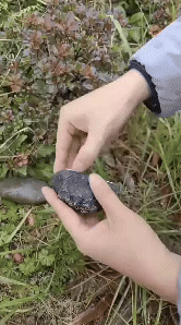 Stone Key Storage - Discreet Key Hiding Solution 2