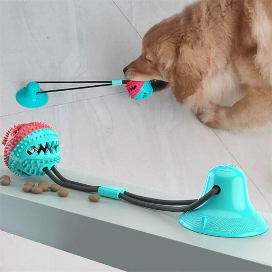Dog Toys Silicon Suction Cup - Fun Indoor Play for Dogs 2