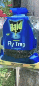 Disposable Hanging Fly Trap - Eco-Friendly Bug Control 2