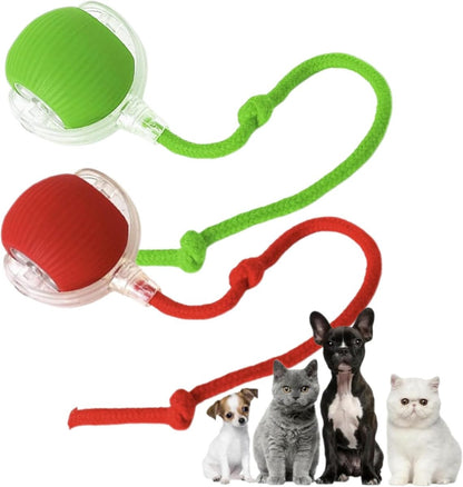 Interactive Cat Toy - Keep Your Pets Engaged and Active 3