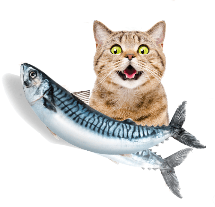 Interactive Dancing Fish Toy - Fun for Cats and Kids 3