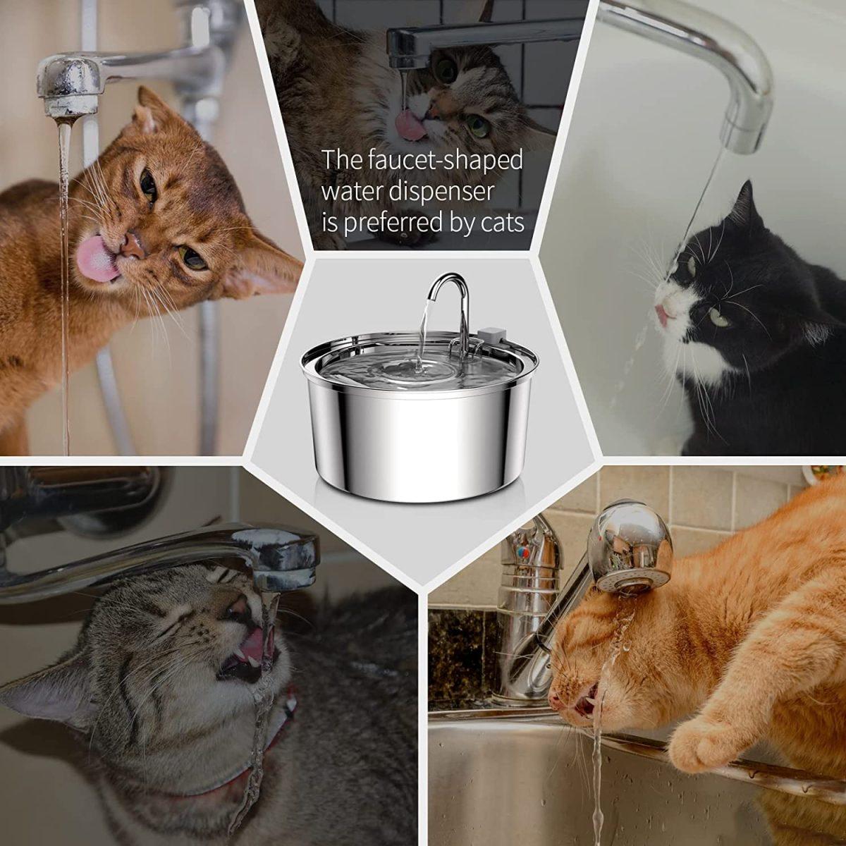 Stainless Steel Cat Drinking Fountain - Hydration Made Easy 4