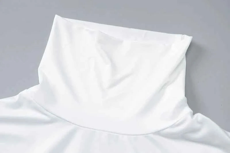 Elegant Turtleneck Long Sleeve Solid Floor-length Maxi Dress - Rown