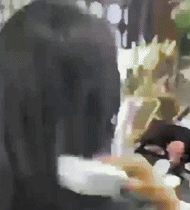 Self Cleaning Hair Brushes - Effortless Hair Care Solution 1