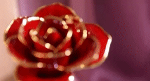 24k Gold Dipped Rose - Unique Gift for Loved Ones 1