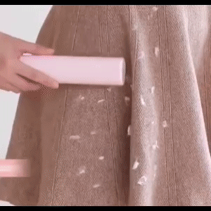 2-in-1 Reusable Pet Hair Remover Brush 1