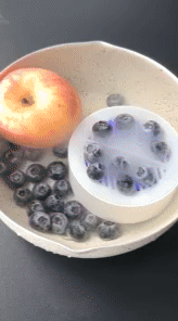 AquaPure Fruit and Vegetable Washing Machine 1