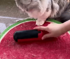 Pet Hair Remover Roller - Effortless Hair Cleanup for Pet Owners 1