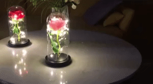 GALAXY ROSE FLOWER DOME - Everlasting Love Gift 1