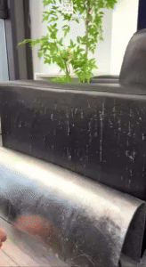 Carpet Cat Scratching - Protect Your Furniture from Scratches 1