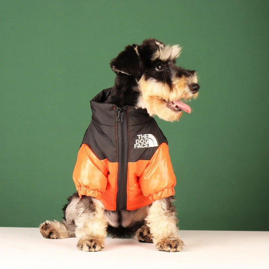 Jacket For Pets - Stylish & Warm Winter Apparel 1