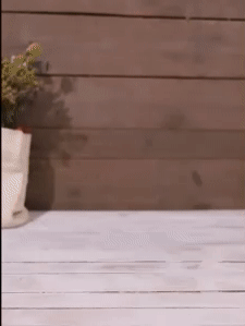 Halloween Slippers - Cozy Festive Footwear for All Ages 1