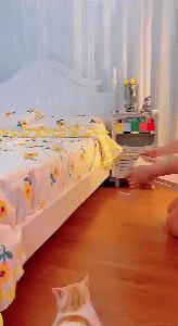 Cat Window Perch Lounge Mount Hammock - Ultimate Feline Relaxation 1