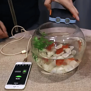 Solar Charger - Stay Powered Up on Outdoor Adventures 1