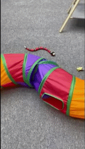 Interactive Snake Toy - Fun for Your Pets 1