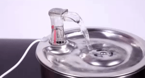 Stainless Steel Cat Drinking Fountain - Hydration Made Easy 1