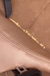 Handheld Vacuum Cleaner - Ultimate Portable Cleaning Solution 1