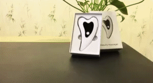 Electric Skin Massagers - Achieve Youthful, Glowing Skin 1