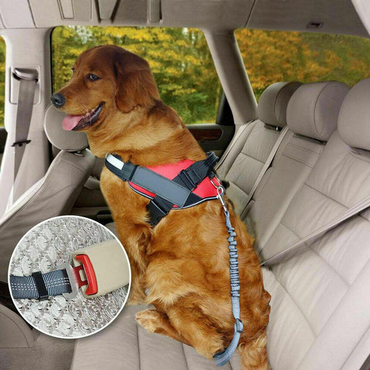 Dog Seat Belt Protects - Keep Your Pet Safe While Traveling 1