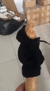 Car Shift Gear Cover - Stylish Upgrade for Your Vehicle 1