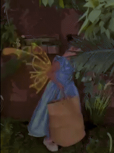 Electric Fairy Wings - Magical LED Wings for Kids 1