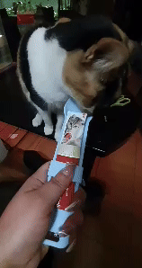 Cat Treat Spoon - Elevate Treat Time for Your Furry Friend 1