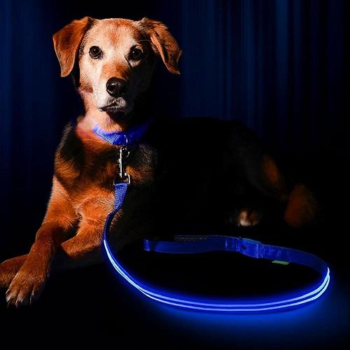 Visibility Leash - Keep Your Pup Safe at Night 1