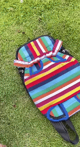 Comfortable Front Pet Carrier Backpack - Travel with Your Pet 1