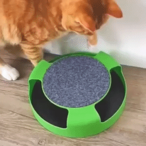 Interactive Cat Toy - Keep Your Cat Entertained 1