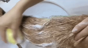 Pet Kat Grooming Bad Borstel - Effortless Pet Hair Removal 1